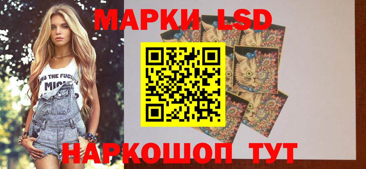 LSD-25 экстази ecstasy  Вход с VPN  ЛСД экстази  Курчалой  ОМГ ОМГ как войти  LSD-25 экстази ecstasy 