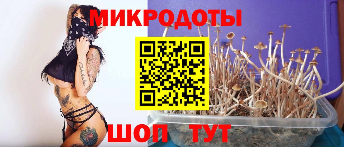 Псилоцибиновые грибы MAGIC MUSHROOMS Курчалой