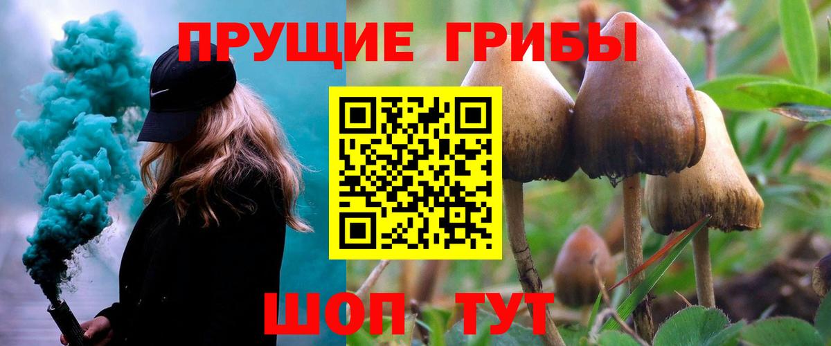 Псилоцибиновые грибы Magic Shrooms  Вход с VPN  магазин    Курчалой 